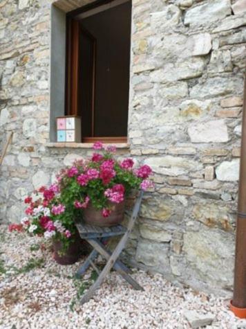 B & B La Primavera Пергола Екстериор снимка