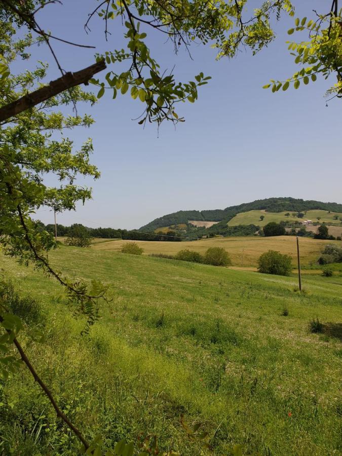 B & B La Primavera Пергола Екстериор снимка