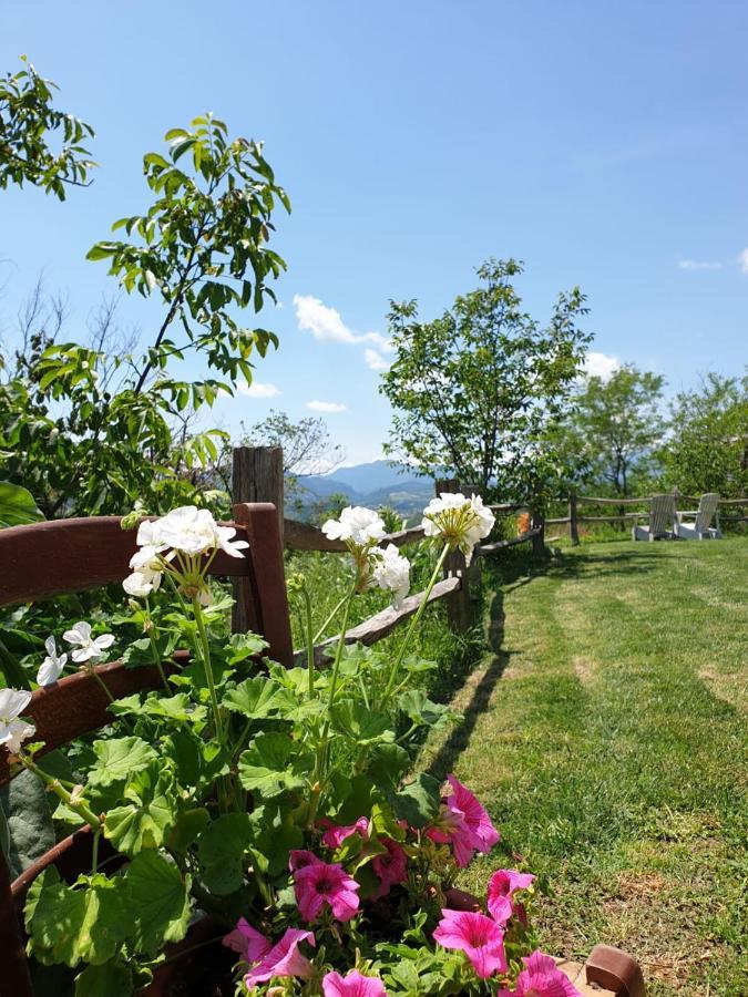 B & B La Primavera Пергола Екстериор снимка